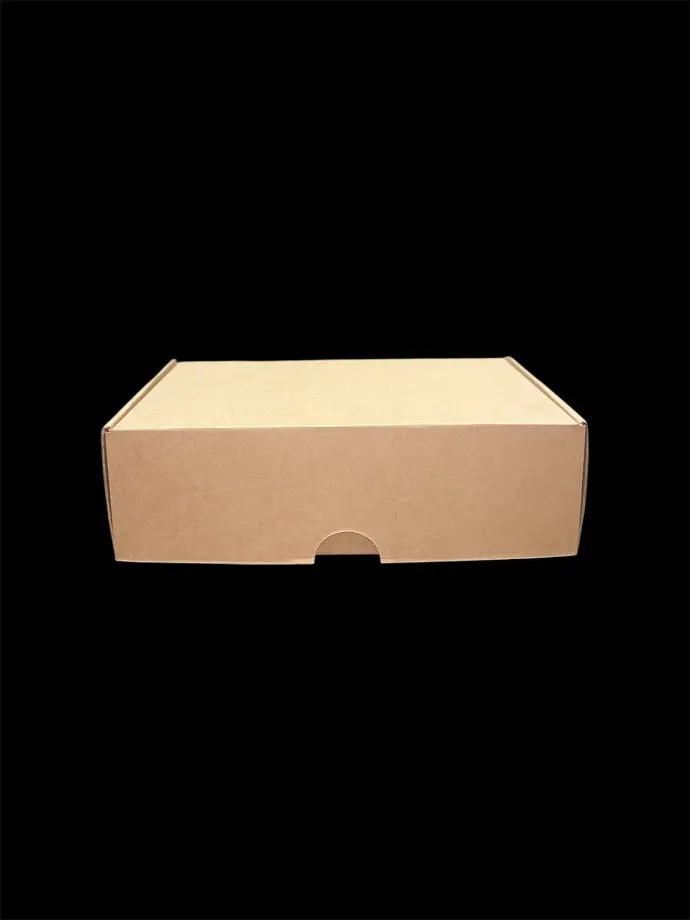 Caja Master – Microcorrugado premium 35×23×10 cm