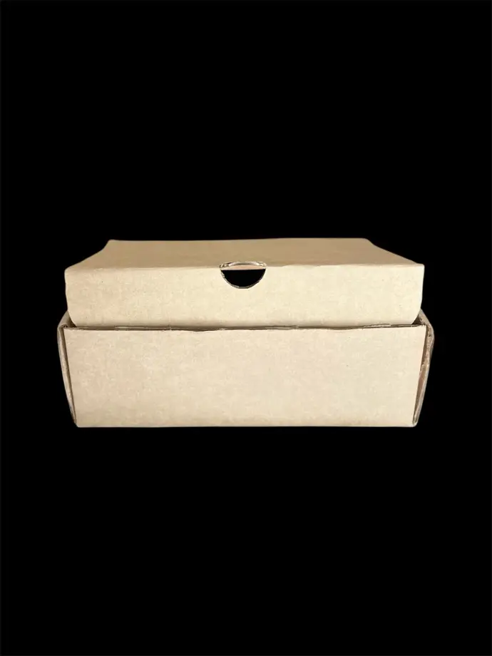 Caja Mediana Rectangular Kraft – Corrugado | 29 × 15 × 8 cm